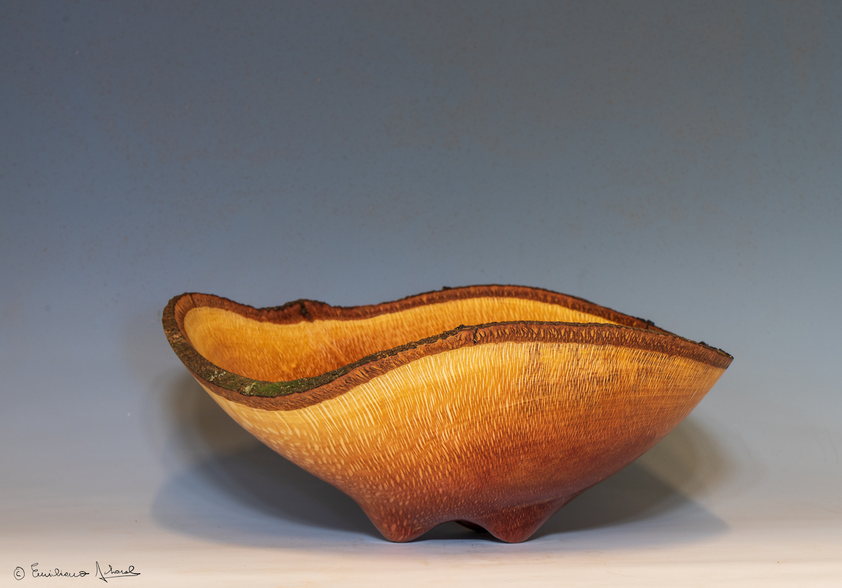 Macadamia Nut natural edge with carved feet   Macadamia Nut natural edge with carved feet